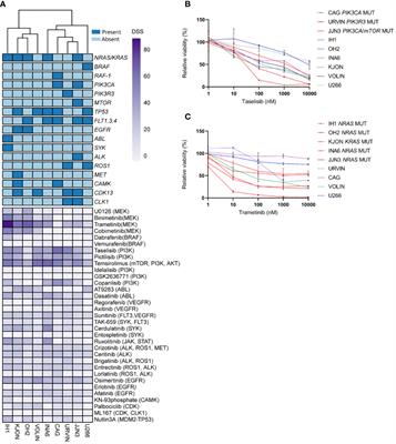 Mutational analysis and protein profiling predict drug sensitivity in multiple myeloma cell lines